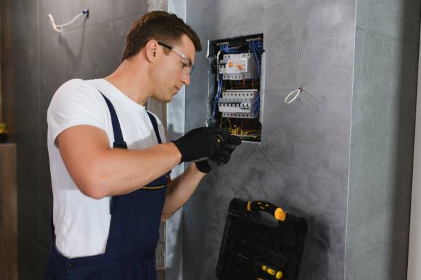 Best Electric Panel Repair  in Lam, AR